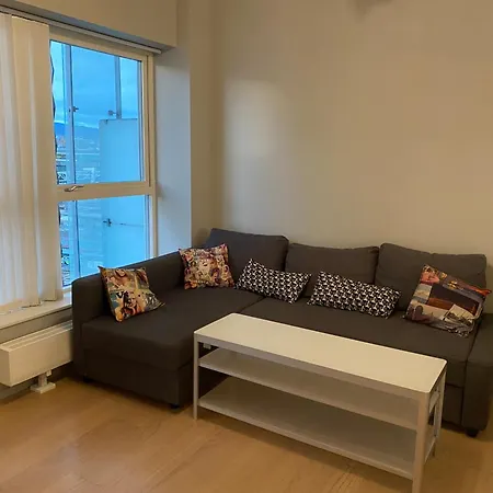 Great, Spacious By Station! Апартаменты Осло